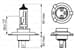 Ampul Far 24V 75W